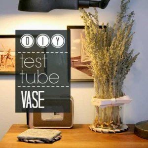 Test Tube Vase Title