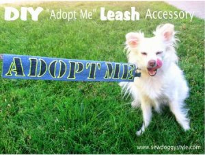 diy leash accessory