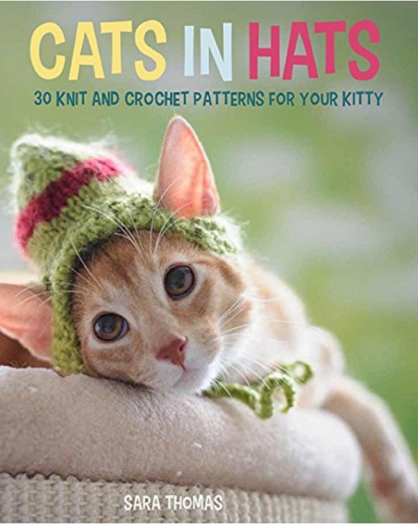 cats in hats book