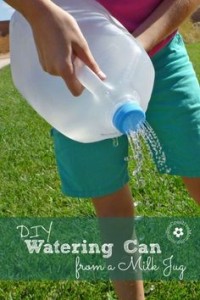 wateringcan