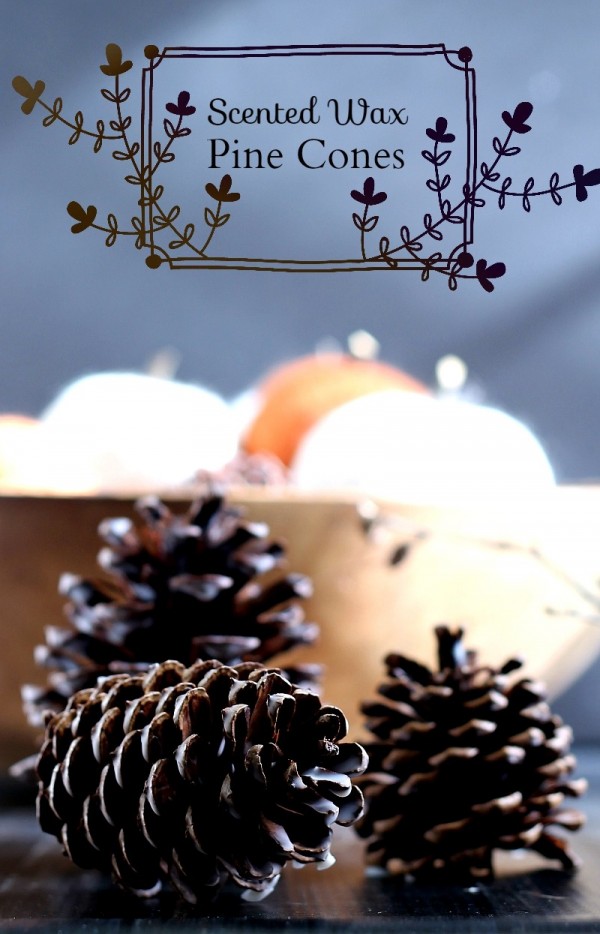 Scented-Wax-Pine-Cones-pin-gardenmatter.com_-800x1245