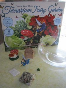 terrarium-fairy-garden-kit-horizon